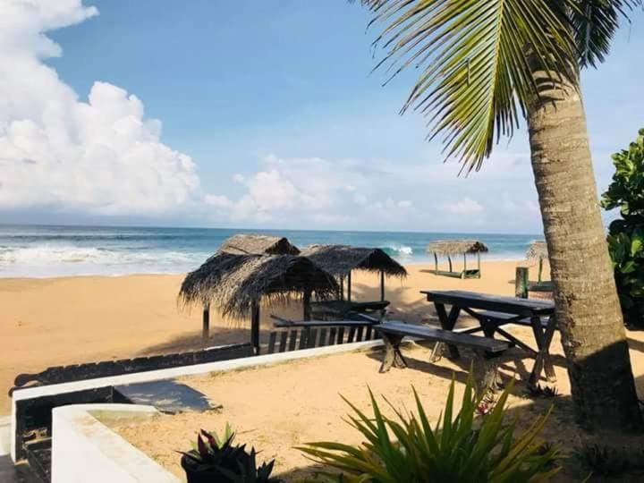 Sea Shine Guest House Hikkaduwa Buitenkant foto